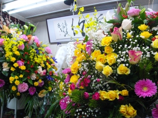P1290001.JPG